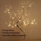 Luminous Harmony Tree