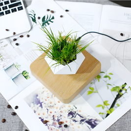Floating Magnetic Bonsai Pot