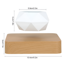 Floating Magnetic Bonsai Pot