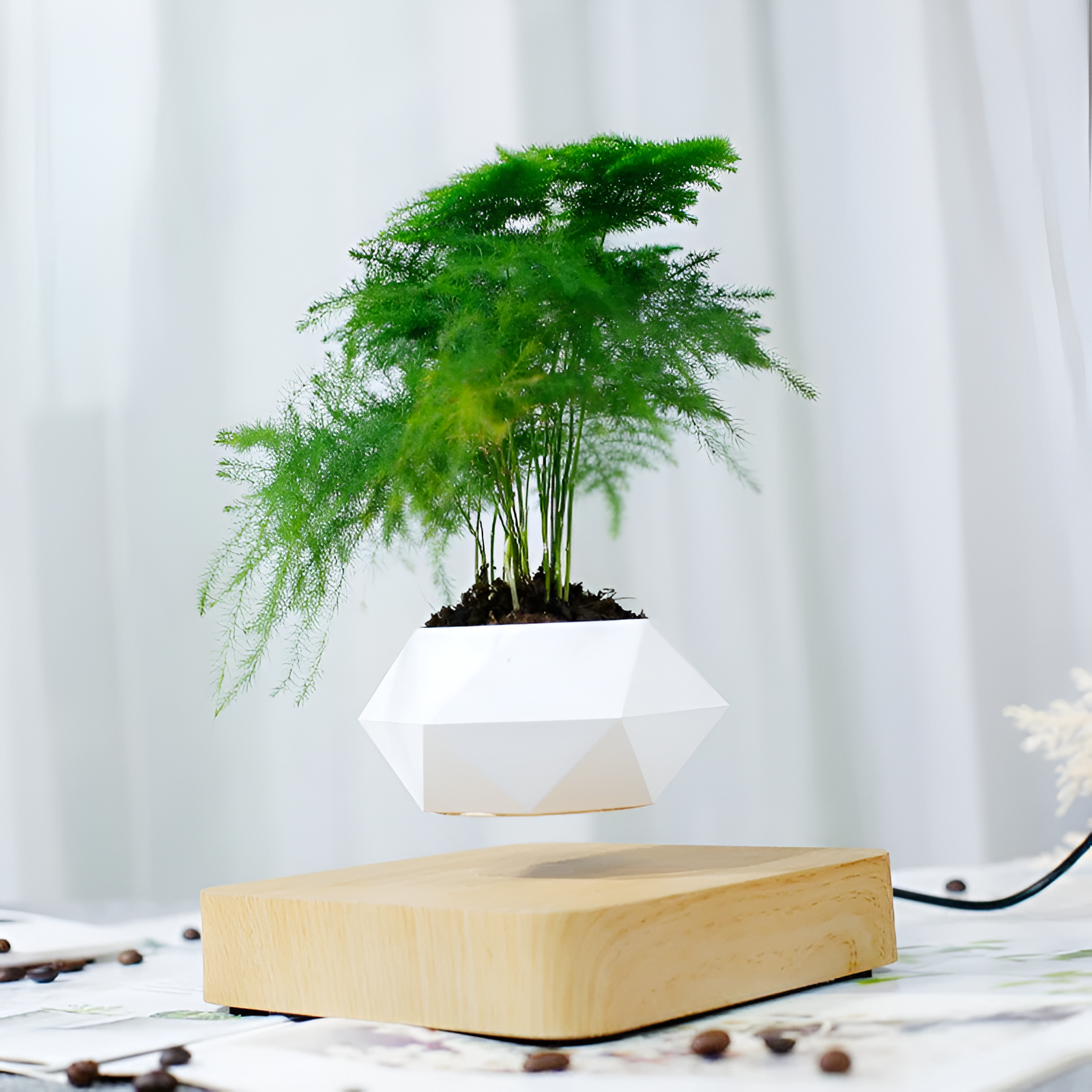 Floating Magnetic Bonsai Pot