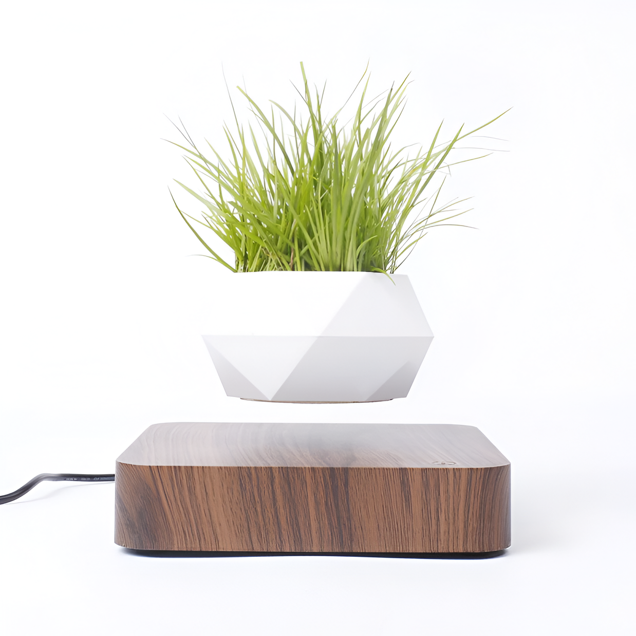 Floating Magnetic Bonsai Pot