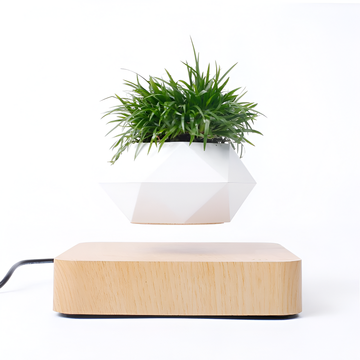 Floating Magnetic Bonsai Pot