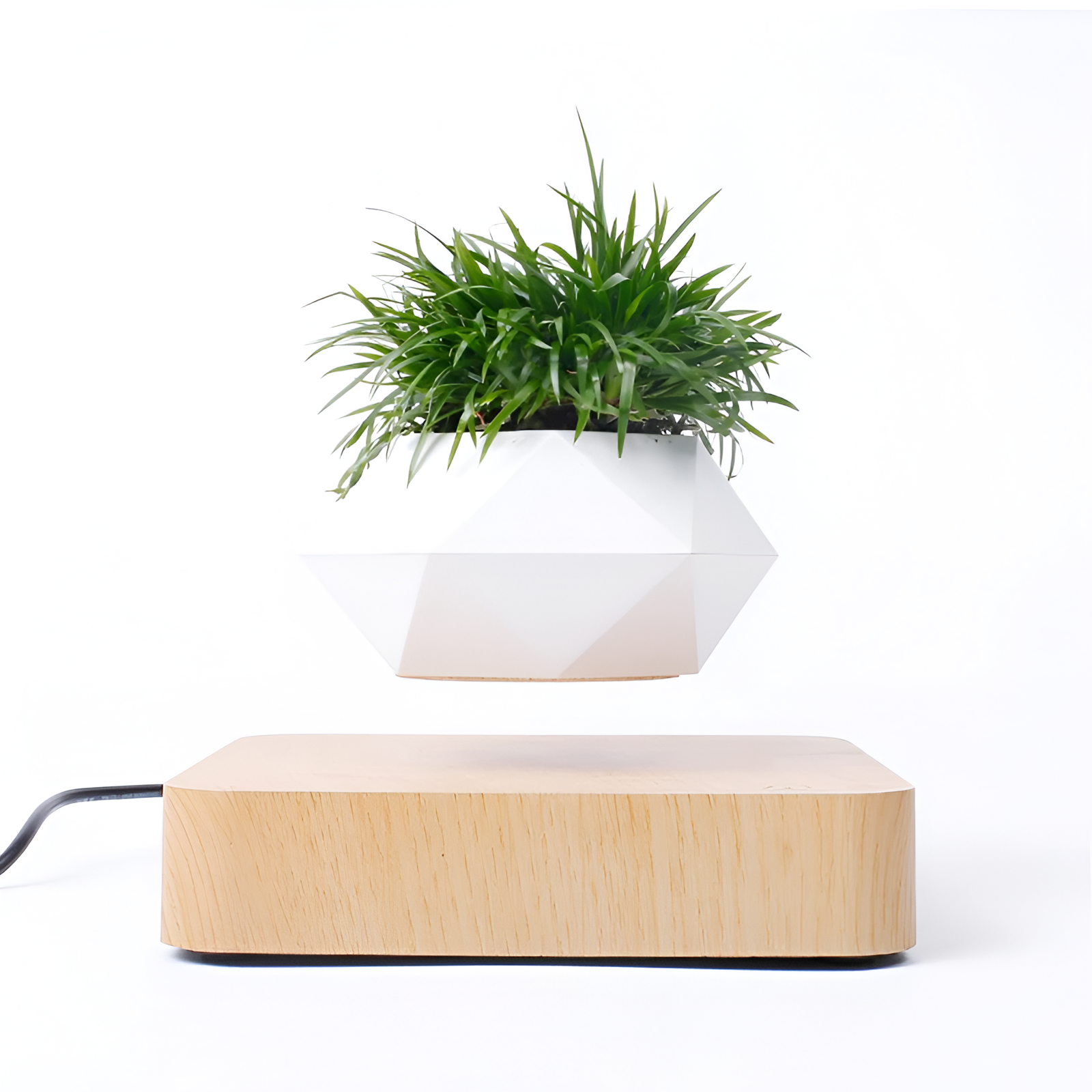 Floating Magnetic Bonsai Pot