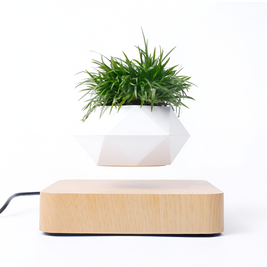 Floating Magnetic Bonsai Pot